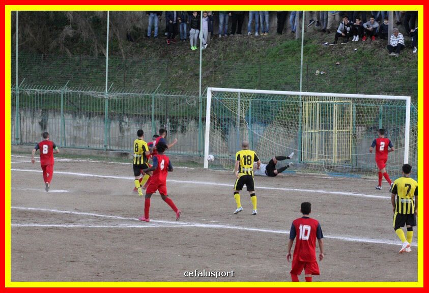 181111 Cepha_Milazzo 247_tn.JPG